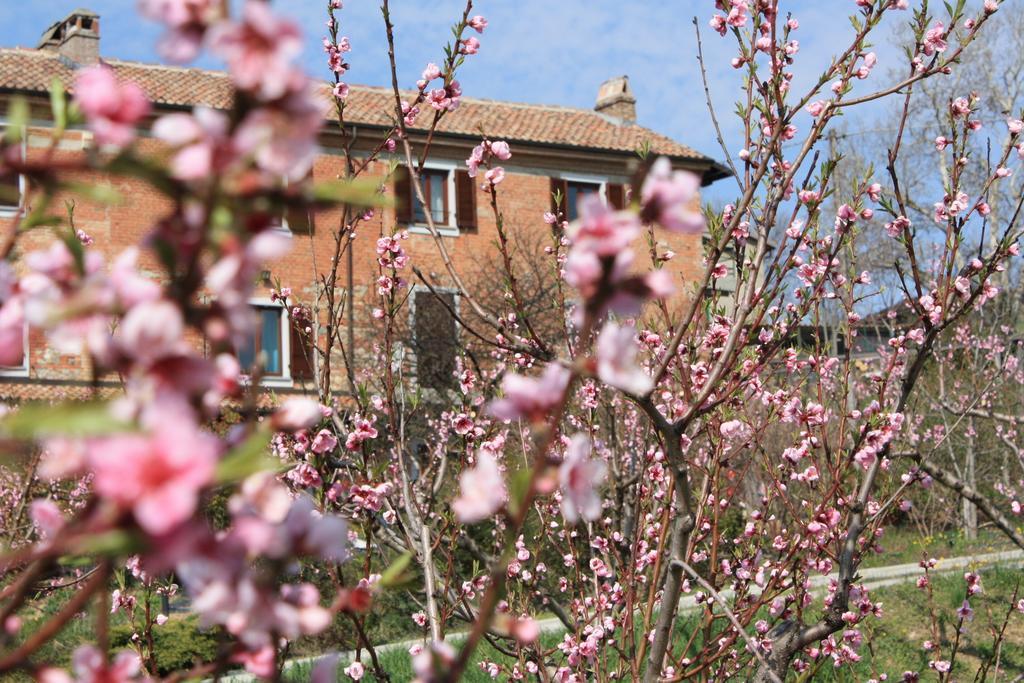 B&B Di Spineto Villaromagnano Extérieur photo